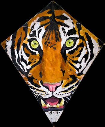 Tiger Kite 2