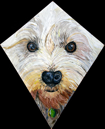 Dog Kite