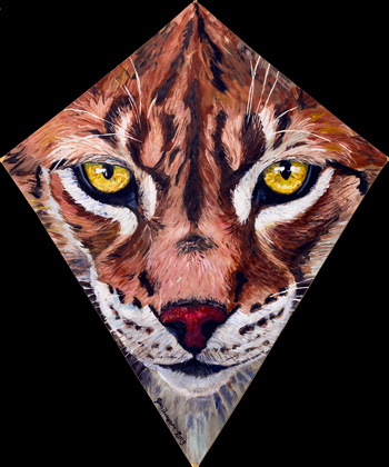 Lynx Kite