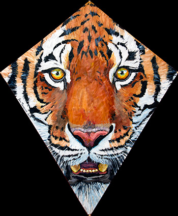 Tiger Kite April 2013