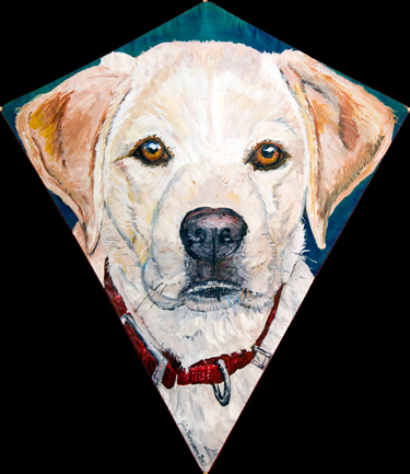 Golden Lab Kite