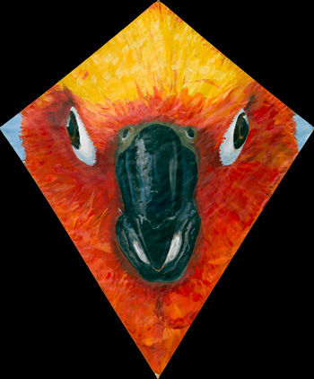 Sun Conure Kite