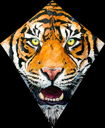 Tiger Kite for Christmas