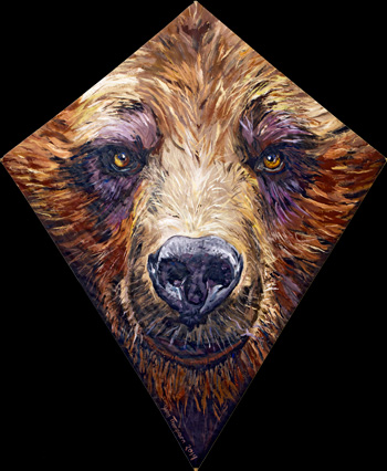 Bear Kite