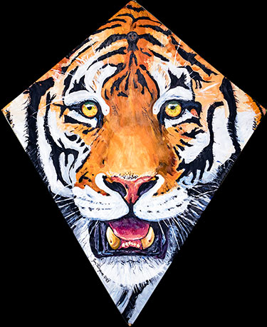 Tiger kite plus